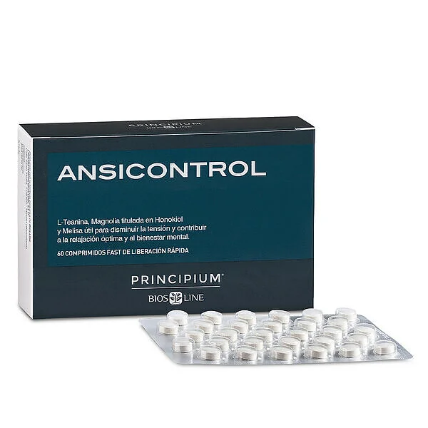 Principium Ansicontrol 60comp